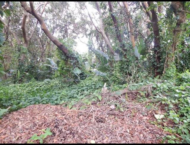 LAND FOR SALE IN GLENMORE